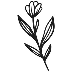 Obraz premium black and white flower