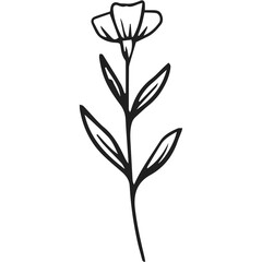 Fototapeta na wymiar silhouette of a flower