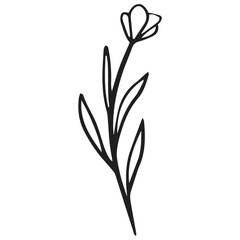 illustration of a flower