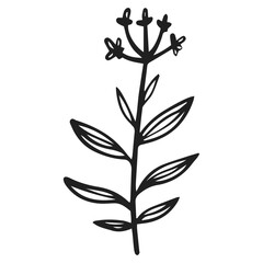 silhouette of a tree