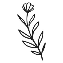 illustration of a plant