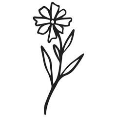 Fototapeta na wymiar illustration of a flower