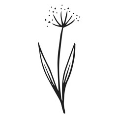 silhouette of a dandelion