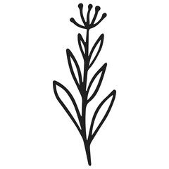 illustration of a plant