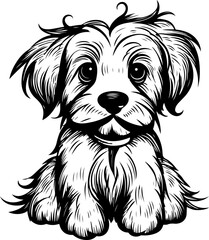 The vector of a dog Black and white color.