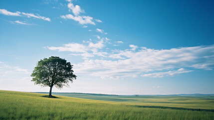 Summer Landscape of a green pasture with a tree and white clouds 