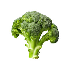 broccoli isolated on white created with Generative AI