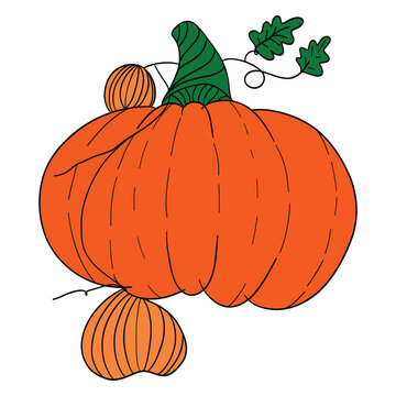halloween pumpkin vector, hand drawing, cute cartoon face pumpkins with organge color and doodles.