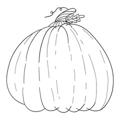 halloween pumpkin vector, hand drawing, cute cartoon face pumpkins with organge color and doodles.