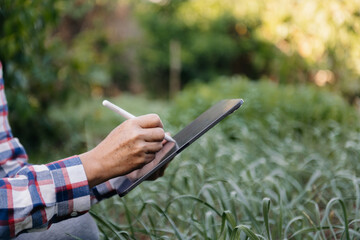 Farmer woman using digital tablet computer in field, technology application in agricultural growing activity, ..