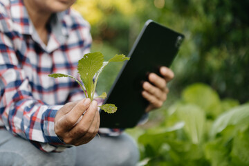 Farmer woman using digital tablet computer in field, technology application in agricultural growing activity, ..