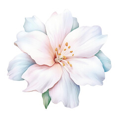 Fototapeta na wymiar Flowers Watercolor Clip Art, Watercolor Sublimation Design, Watercolor Flowers Bouquet