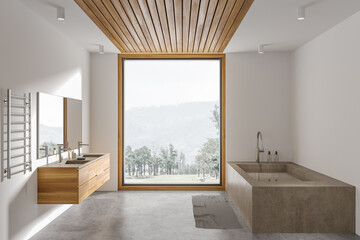 Luxury bathroom interior with double sink and bathtub, accessories and window