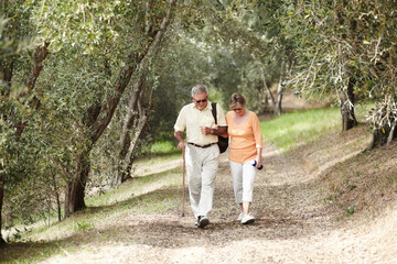 Fototapeta premium Hiking, fitness and senior couple in forest walking for retirement exercise, wellness support and path in nature. Elderly people in woods for cardio, travel and carbon footprint journey or trekking