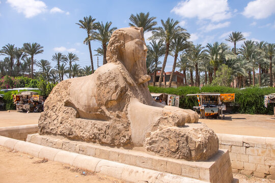 Esfinge y palmeral en la antigua ciudad de Menfis en Egipto