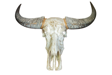 Top view of Thai cow horn or Buffalo horn, focus selective
