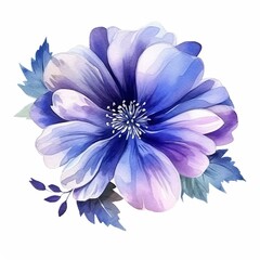 blue flowers isolated on white background blue and white dahlia