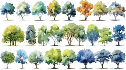 Fotobehang Tree watercolor style vector illustration, set of graphics trees elements drawing for architecture and landscape design, elements for environment and garden © gfx_nazim