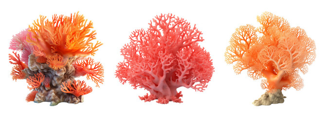 Corals orange red illustration isolated - Generative AI