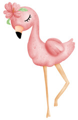 Flamingo watercolor cartoon character.animal summer cute pink design.