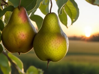 A picture of pears are hanging from a tree vol one created with generative ai, ki