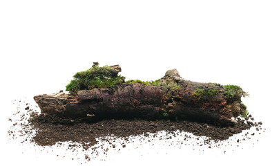 Fresh green moss on rotten trunk and dirt isolated on white, side view, clipping path © dule964