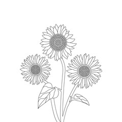 Sunflower Vector Line Art Summer Nature Hand Drawn illustration