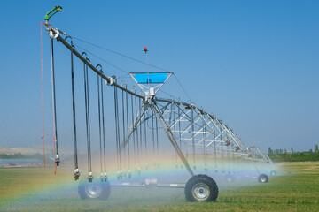 Early morning view of the field irrigated by the central pivot sprinkler system. Mist rainbow from...