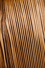 Hair strand, closeup strand and blonde hairstyle, grooming and haircare with shampoo cleaning, healthy and spa salon care. Texture highlight, long clean hairs and hairdressing with growth treatment