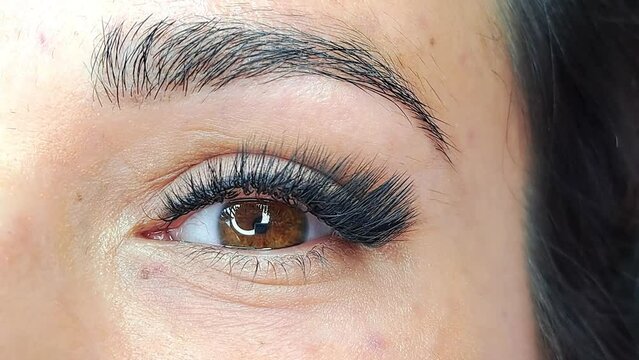 close up of eye with eyelash extensions in beauty salon macro eye