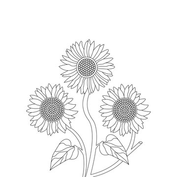 Hand Drawn Sunflower Sketch Vector Line Art illustrations 