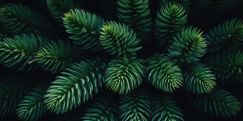 Obraz na płótnie Canvas Close up of evergreen conifer fir, spruce, pine. Macro Shoot coniferous branch. Nature forest background, wallpaper. Generative ai