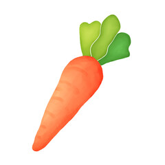 carrot vegetable sugarycitrine