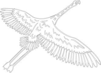 Flamingo bird vector graphic