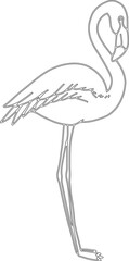 Flamingo bird vector graphic