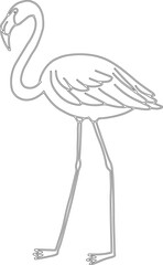 Obraz premium Flamingo bird vector graphic