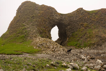 rock formation ancient with tunnel and dog