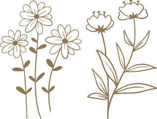 Set of hand drawn floral elements isolated on white background. Vector illustration.