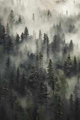 Poster Mistig bos Foggy pine forest view from above Generative AI