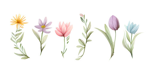 Flowers set illustration isolated on white . Generative AI