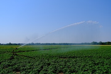 Bewässerung von Feldern wegen Trockenheit