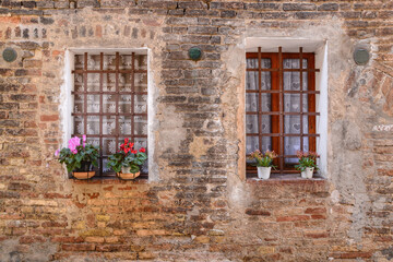 Fototapeta na wymiar A frontal and symmetrical photo of a facade with two windows with bars and plants on it 