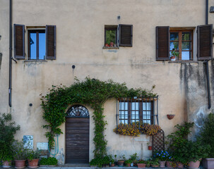 Fototapeta na wymiar A frontal facade of an Italian house with many plants on it 