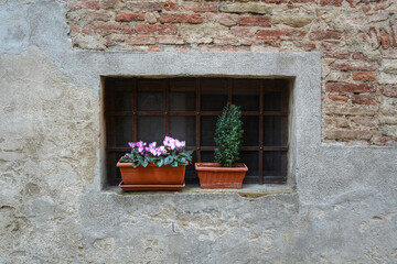 Fototapeta na wymiar A frontal photo of a concrete and brick facade with a window and plant sitting on it 