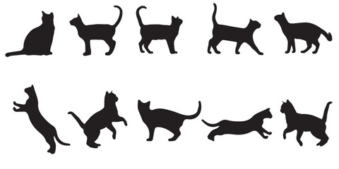 Silhouette cat vector eps 10