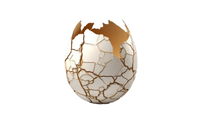 egg isolated on white background HD transparent background PNG Stock Photographic Image