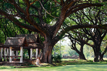 Young woman on the bank of Beautiful green pond in ancient park of Sukhothai, Thailand