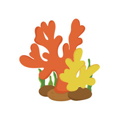 Coral