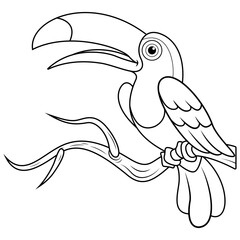 Toucans bird cartoon line art © Ciputra
