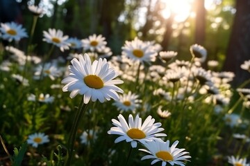 Morning Spring Daisy Flower. Generative AI